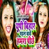 About UP Bihar Padal Babe Hamra Pichhe Song